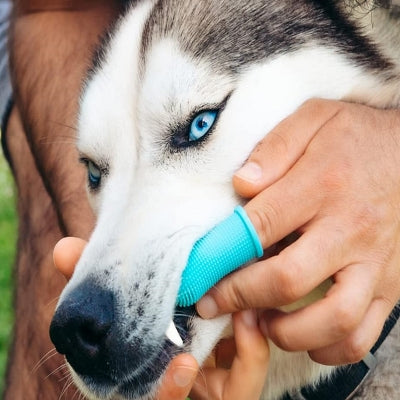 Brosse Pour Chien - DogSoftFingerToothbrush™