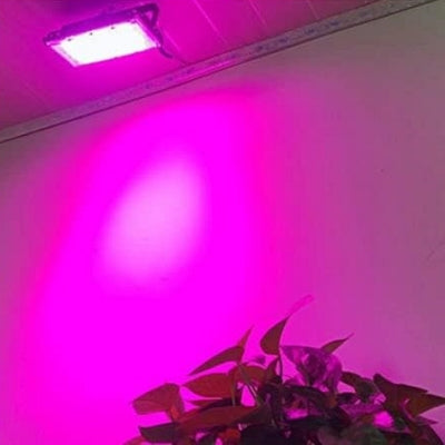 Lampe Plante - FullSpectrumPhytolamp™
