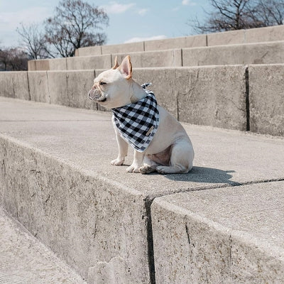 Bandana Pour Chien - ClassicPlaidDog™ - Noir&blanc