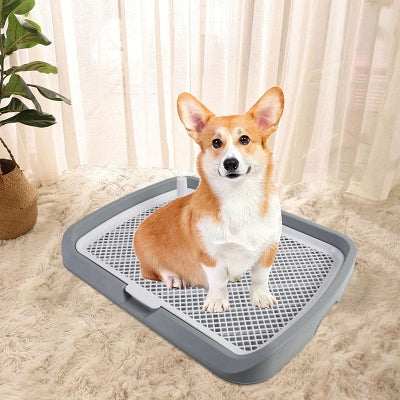 Toilette Pour Chien - DogPottyToilet™