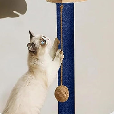Grattoir Chat - CatsCarpetScratch™ - Bleu