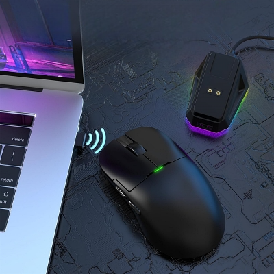 Souris Gamer Sans Fil - WirelessGamerMouse™ - Noir