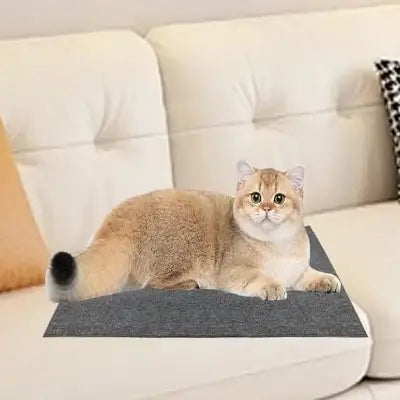 Grattoir Chat - CatsCarpetScratch™ - Gris