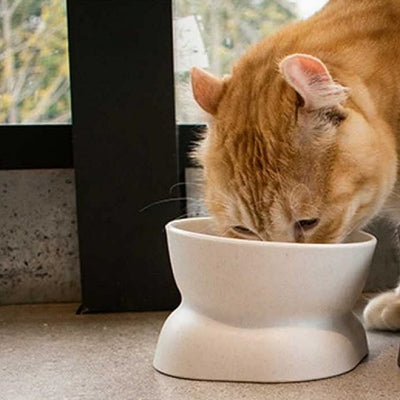 Gamelle Chat - NewCatFoodBowl™ - Blanc