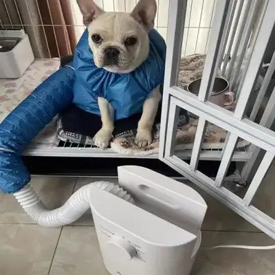 Toilettage Chien - AutomaticDogDryerBag™
