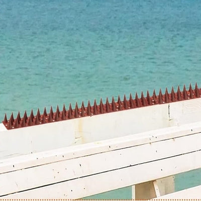 Pic anti pigeon - AntiPigeonSpike™ - Marron rouge