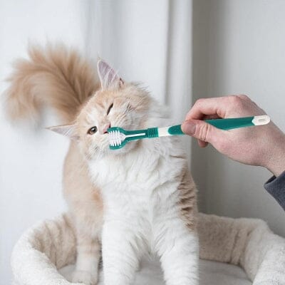 SidedPetToothbrush™ - Vert foncé