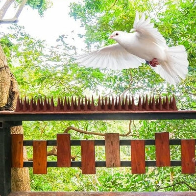 Pic anti pigeon - AntiPigeonSpike™ - Marron rouge