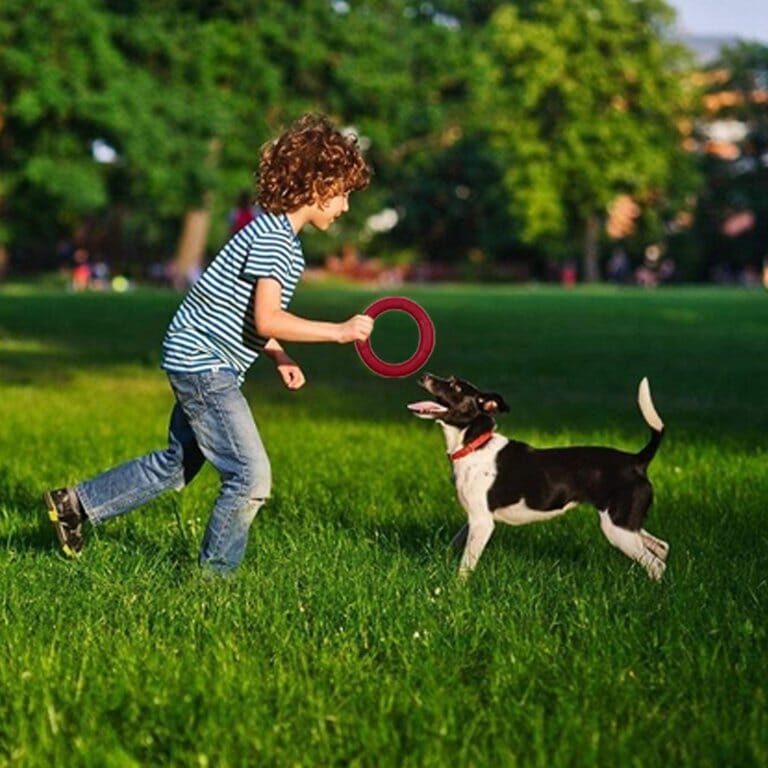 Jouets pour Chien - DogFlyingDisk™ - Rouge