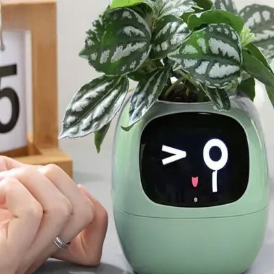 Pot de fleurs -  SmartPlanter™ - Vert