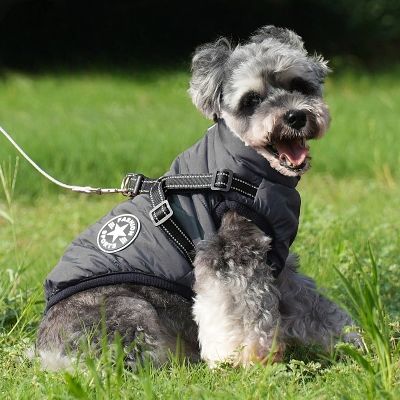 imperméables pour chiens - HarnessDogJacket™ - Noir