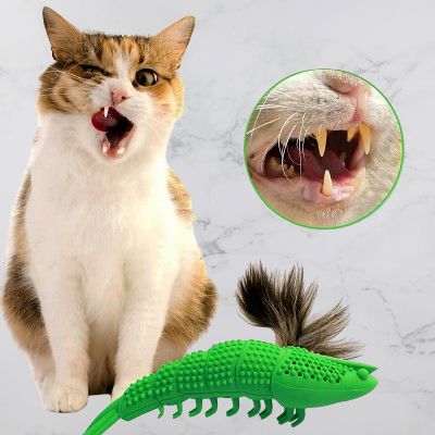 jouet interactif chat - CatnipToys™ - Vert