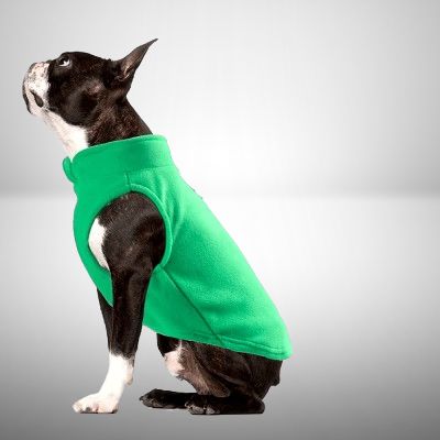 pull pour chien - DogWinterPullover™ - Vert