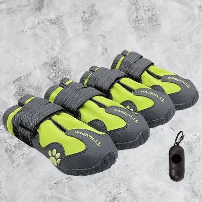 Chaussure pour Chien - PetDogShoes™ - Jaune