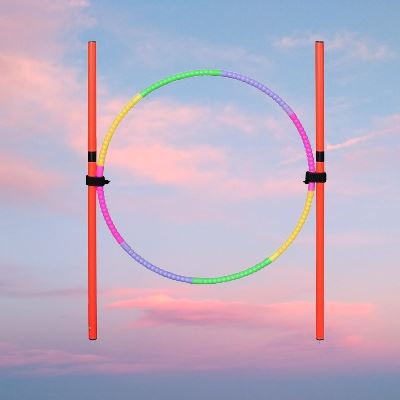 DogObstacle™ - Cercle