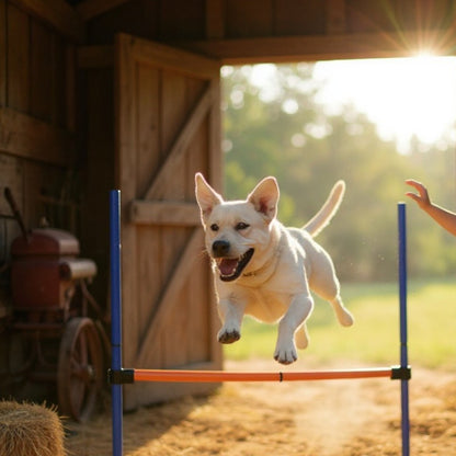 Agility pour Chien - CanineJumpSet™