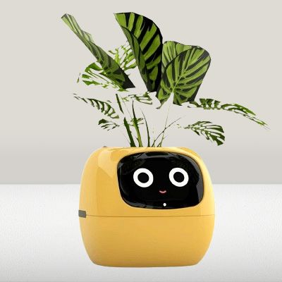 Pot de fleurs -  SmartPlanter™ - Jaune