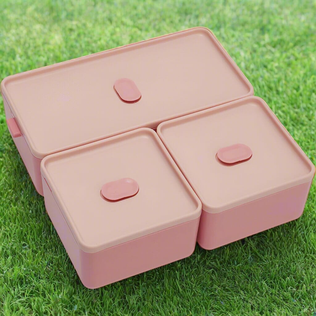 DoubleLayerPortableLunchBox™ - Rose