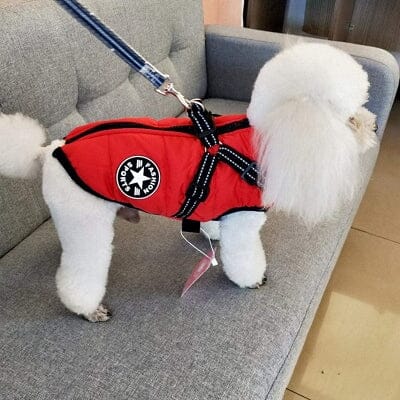imperméables pour chiens - HarnessDogJacket™ - Rouge