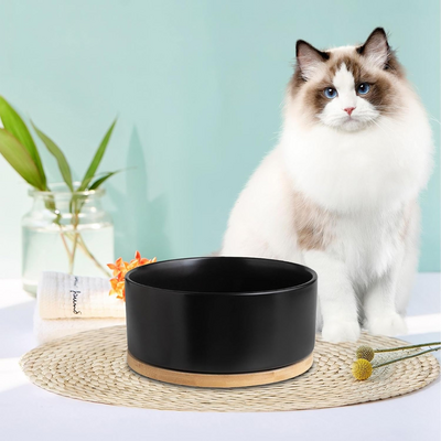 Gamelle pour Chat - WarmSipCatBowl™ - Noir