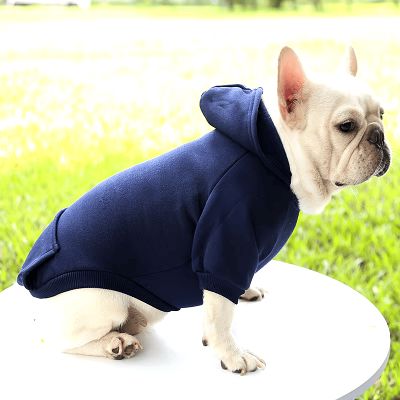 pull pour chien - PetDogClothes™ - Bleu