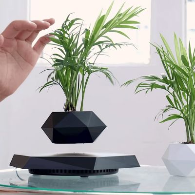 Pot de Fleurs Intérieur - LevitatingPot™ - Noir