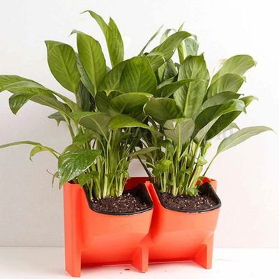 Jardinière Murale - GardenWallPlanter™ - Rouge