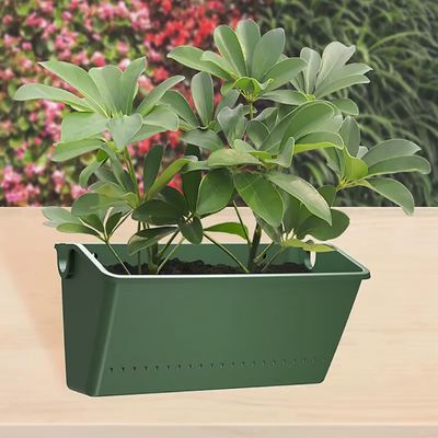 Jardinière Suspendue - GreenVerticalPlanter™