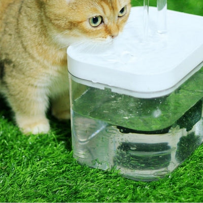 Fontaine A Eau Chat - CatWaterFountain™ - Blanc