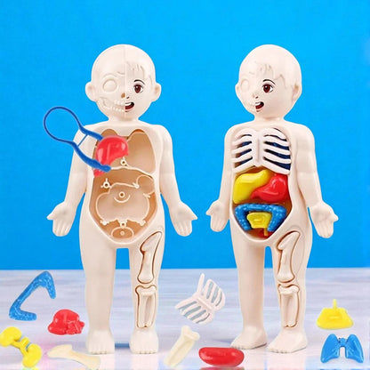 Puzzle Corps Humain - BodyLearnKit™