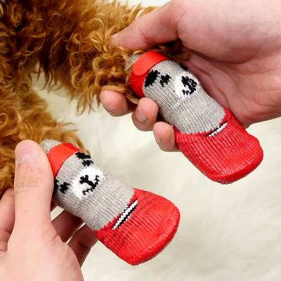 chausson pour chien - DogWarmSock™ - Rouge