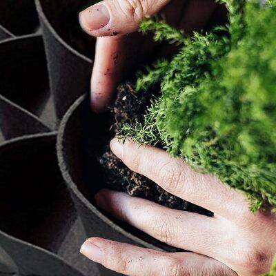 Jardin Vertical - PocketsWallPlanter™ - Noir
