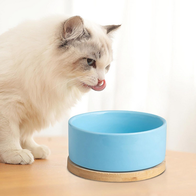 Gamelle pour Chat - WarmSipCatBowl™ - Bleu