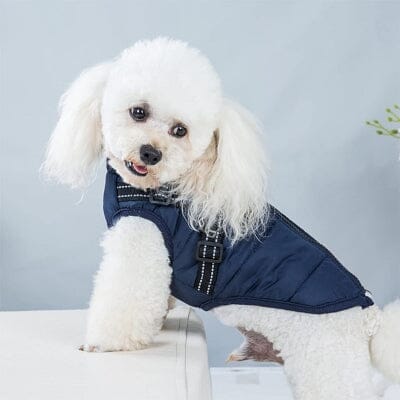 imperméables pour chiens - HarnessDogJacket™ - Bleu