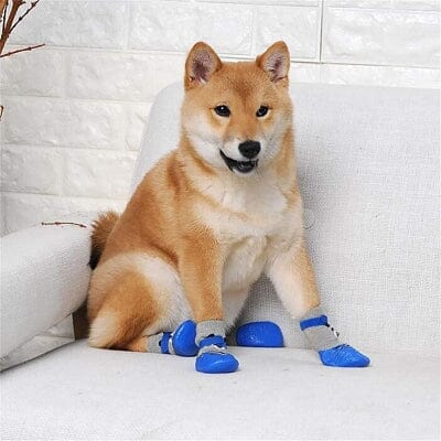 chausson pour chien - DogWarmSock™ - Bleu
