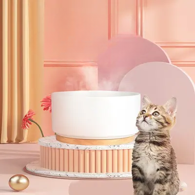 Gamelle pour Chat - WarmSipCatBowl™ - Blanc