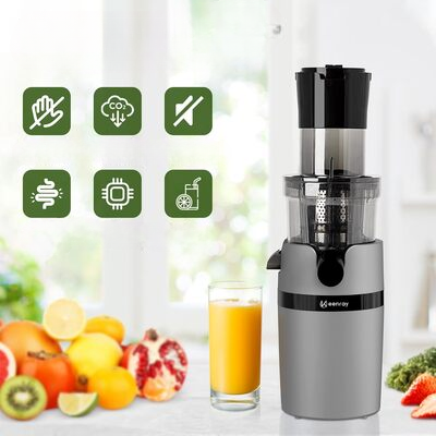 Presse-Agrumes - ColdPressJuicer™ - Gris