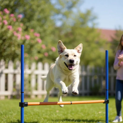 Agility pour Chien - CanineJumpSet™