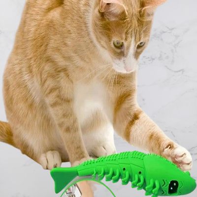 jouet interactif chat - CatnipToys™ - Vert