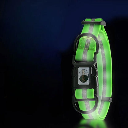 Collier pour Chien - WaterproofDogCollar™ - Vert