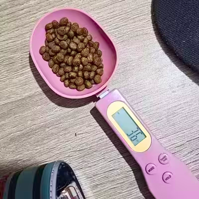 SmartSpoonScale™ - Rose