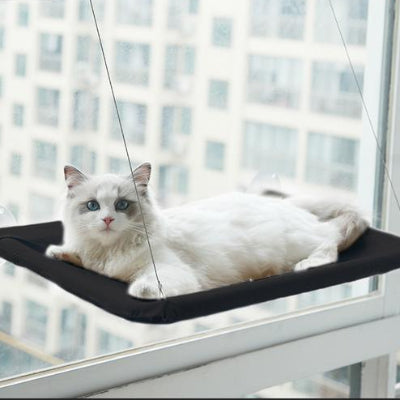 Hamac Chat - SunLoft™ - Noir