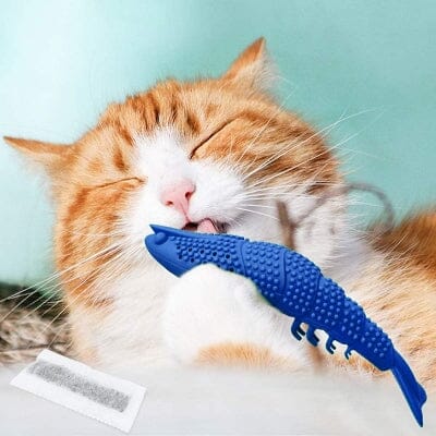jouet interactif chat - CatnipToys™ - Bleu