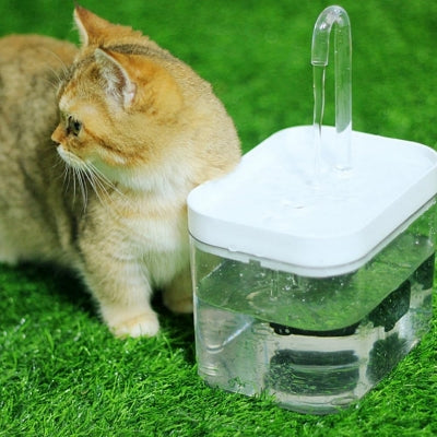 Fontaine A Eau Chat - CatWaterFountain™ - Blanc