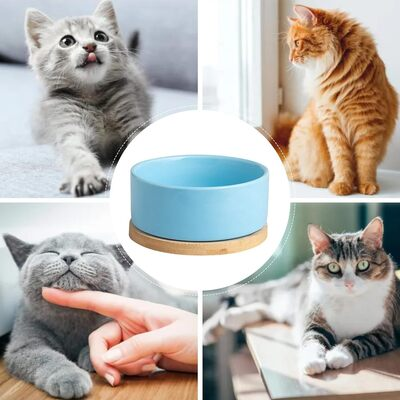 Gamelle pour Chat - WarmSipCatBowl™ - Bleu