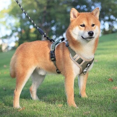 Harnais pour chien - DogReflectiveHarness™ - Beige