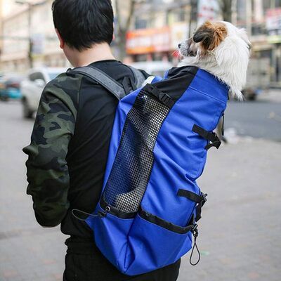 Sac à Dos pour Chien - PetBackpack™ - Bleu