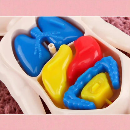 Puzzle Corps Humain - BodyLearnKit™