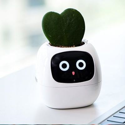 Pot de fleurs -  SmartPlanter™ - Blanc