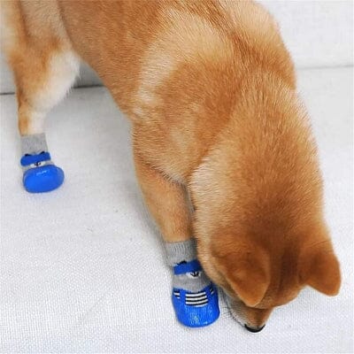 chausson pour chien - DogWarmSock™ - Bleu